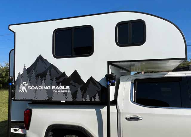 Soaring Eagle Aquila